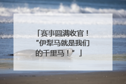 赛事圆满收官！“伊犁马就是我们的千里马！”