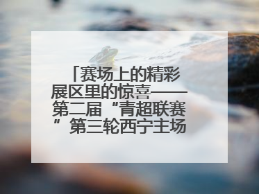 赛场上的精彩 展区里的惊喜——第二届“青超联赛”第三轮西宁主场比赛见闻
