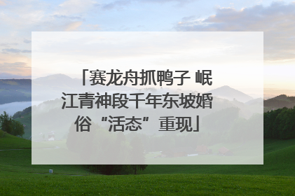 赛龙舟抓鸭子 岷江青神段千年东坡婚俗“活态”重现