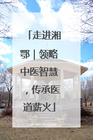 走进湘鄂｜领略中医智慧，传承医道薪火
