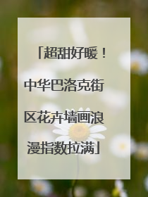 超甜好暖！中华巴洛克街区花卉墙画浪漫指数拉满