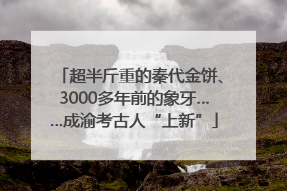 超半斤重的秦代金饼、3000多年前的象牙……成渝考古人“上新”