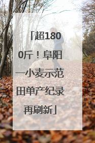 超1800斤！阜阳一小麦示范田单产纪录再刷新