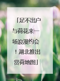 足不出户与荷花来一场浪漫约会！湖北推出赏荷地图