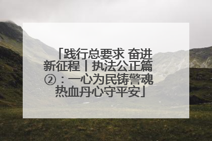 践行总要求 奋进新征程丨执法公正篇②：一心为民铸警魂 热血丹心守平安