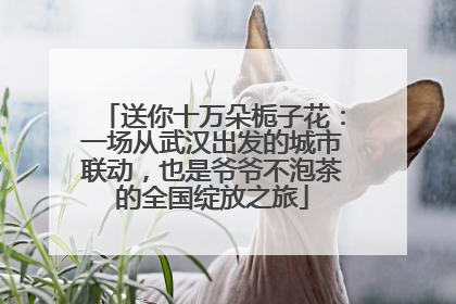送你十万朵栀子花：一场从武汉出发的城市联动，也是爷爷不泡茶的全国绽放之旅