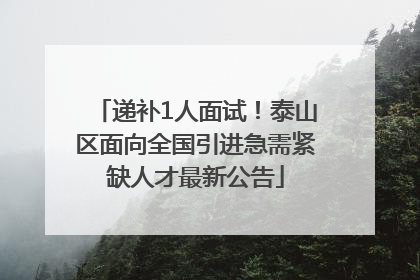 递补1人面试！泰山区面向全国引进急需紧缺人才最新公告