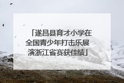 遂昌县育才小学在全国青少年打击乐展演浙江省赛获佳绩