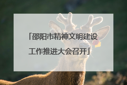 邵阳市精神文明建设工作推进大会召开