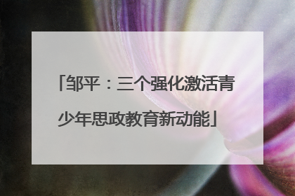 邹平：三个强化激活青少年思政教育新动能