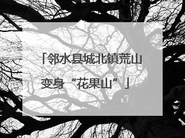 邻水县城北镇荒山变身“花果山”
