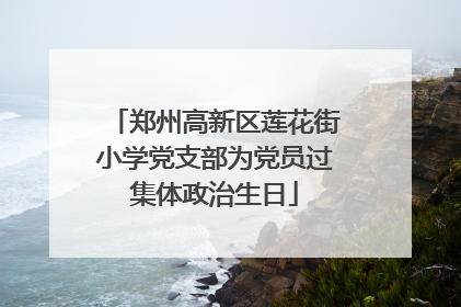 郑州高新区莲花街小学党支部为党员过集体政治生日