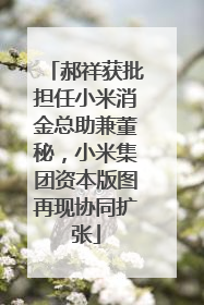 郝祥获批担任小米消金总助兼董秘，小米集团资本版图再现协同扩张