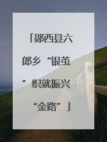 郧西县六郎乡“银茧”织就振兴“金路”