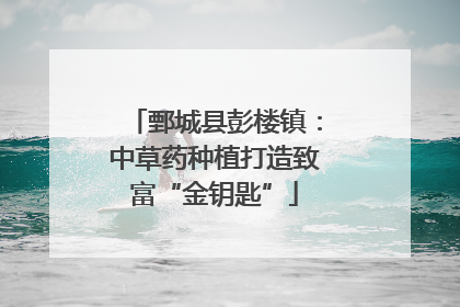 鄄城县彭楼镇：中草药种植打造致富“金钥匙”