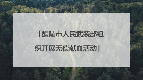 醴陵市人民武装部组织开展无偿献血活动