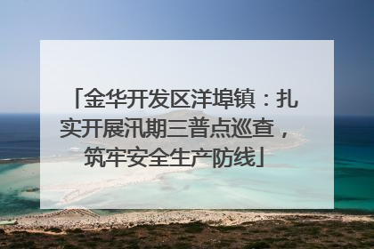 金华开发区洋埠镇：扎实开展汛期三普点巡查，筑牢安全生产防线