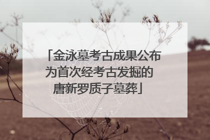 金泳墓考古成果公布 为首次经考古发掘的唐新罗质子墓葬