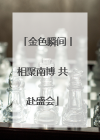 金色瞬间丨相聚南博 共赴盛会