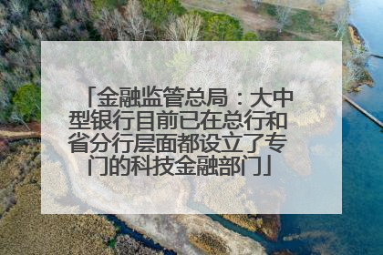 金融监管总局：大中型银行目前已在总行和省分行层面都设立了专门的科技金融部门