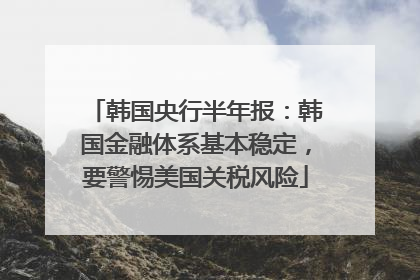 韩国央行半年报：韩国金融体系基本稳定，要警惕美国关税风险