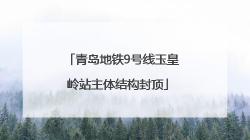 青岛地铁9号线玉皇岭站主体结构封顶