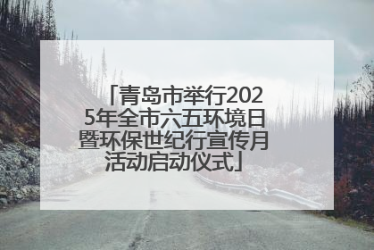 青岛市举行2025年全市六五环境日暨环保世纪行宣传月活动启动仪式