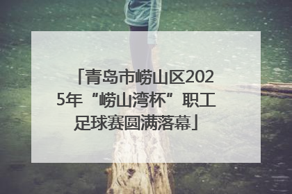 青岛市崂山区2025年“崂山湾杯”职工足球赛圆满落幕