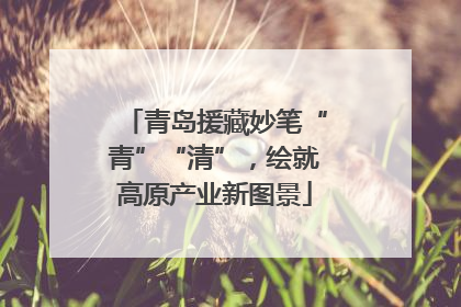 青岛援藏妙笔“青”“清”，绘就高原产业新图景
