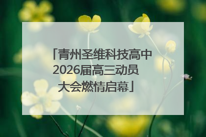 青州圣维科技高中2026届高三动员大会燃情启幕