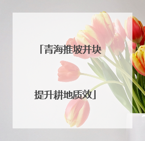 青海推坡并块提升耕地质效