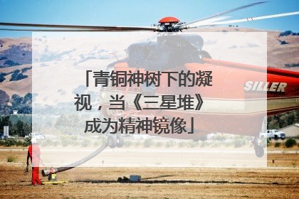 青铜神树下的凝视，当《三星堆》成为精神镜像