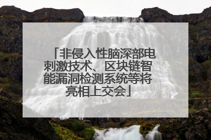 非侵入性脑深部电刺激技术、区块链智能漏洞检测系统等将亮相上交会