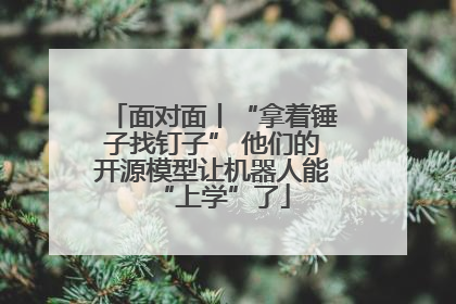 面对面丨“拿着锤子找钉子” 他们的开源模型让机器人能“上学”了