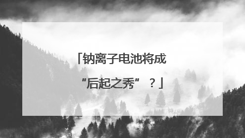 钠离子电池将成“后起之秀”？