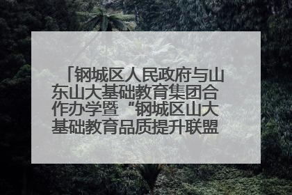 钢城区人民政府与山东山大基础教育集团合作办学暨“钢城区山大基础教育品质提升联盟”签约揭牌活动举行
