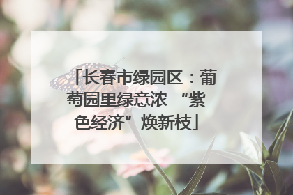 长春市绿园区：葡萄园里绿意浓 “紫色经济”焕新枝