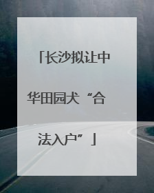 长沙拟让中华田园犬“合法入户”