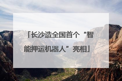 长沙造全国首个“智能押运机器人”亮相