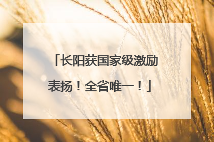 长阳获国家级激励表扬！全省唯一！