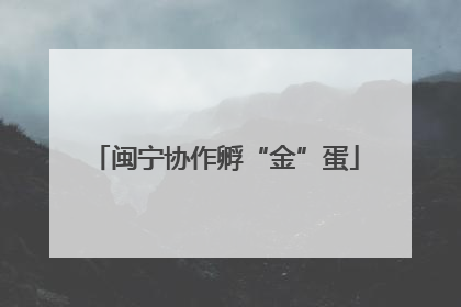闽宁协作孵“金”蛋