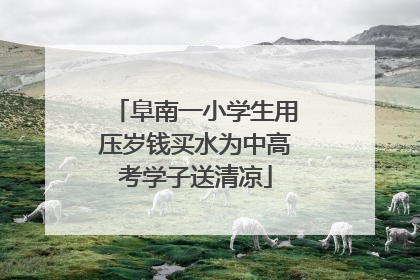 阜南一小学生用压岁钱买水为中高考学子送清凉