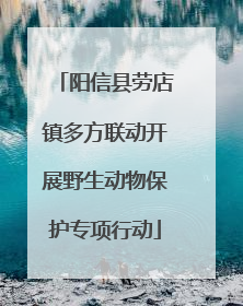 阳信县劳店镇多方联动开展野生动物保护专项行动