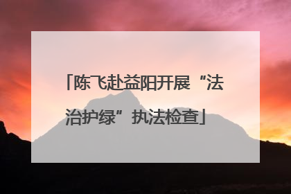 陈飞赴益阳开展“法治护绿”执法检查