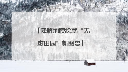 降解地膜绘就“无废田园”新图景