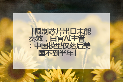 限制芯片出口未能奏效，白宫AI主管：中国模型仅落后美国不到半年