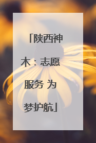 陕西神木：志愿服务 为梦护航