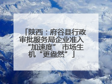 陕西：府谷县行政审批服务局企业准入“加速度” 市场生机“更盎然”