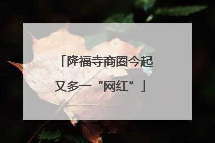 隆福寺商圈今起又多一“网红”