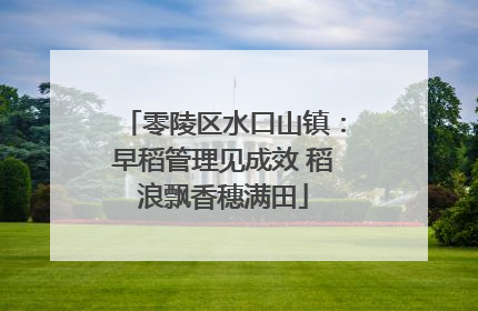 零陵区水口山镇：早稻管理见成效 稻浪飘香穗满田